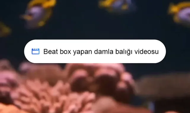 Google, üniversiteli öğrencilere yapay zekayı ücretsiz veriyor